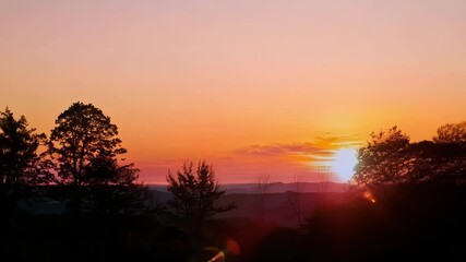 Poster - The vibrant orange and pink hues of the sky shining through the silhouettes of tall slender trees creating a serene and peaceful atmosphere.