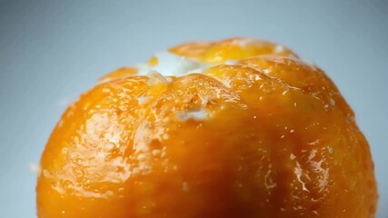 Aufkleber - Time lapse of a decomposing orange showing how a small patch of fungus first forms and then spreads eventually causing the fruit to fully rot.