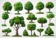 © FrameFinesse - Set of 3d cartoon clipart green trees isolated on white and transparent background