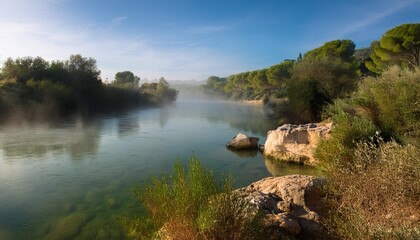 morning mist on an andalusian river and the mediterranean forest