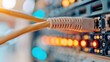 © LifeMedia - A detailed close-up shot showcasing multiple network cables plugged into a server rack, highlighted by the glowing indicator lights, emphasizing connectivity and technology.