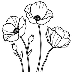 Wall Mural - Flower pencil art coloring page vector illustration