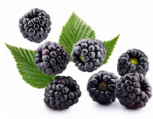 Wall Mural - Falling blackberry isolated on white background, full depth of field