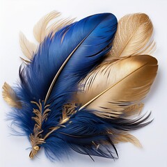 Set of Luxury Indigo Blue and golden bird feather isolated on white background. glow effect.	