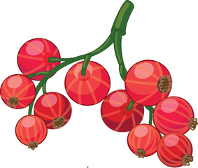 Poster - Branch of red currant growing, showing plump, ripe berries ready for harvest