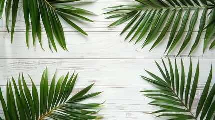 Wall Mural - Tropical palm on white wood background