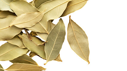 A few dried bay leaves, Isolated on transparent background