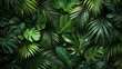 © LuvTK - A background of tropical leaves texture, detailed patterns of overlapping palm fronds, deep green shades, exotic and natural feel, hd quality, natural look. --ar 16:9 --v 6.0 --s 250 --style raw