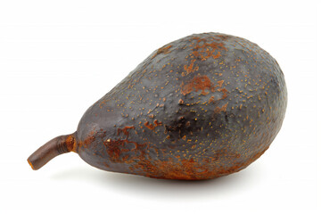 Poster - Avocado isolated