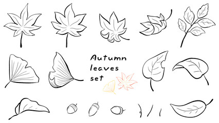 Wall Mural - Autumn leaves, maple and ginkgo, simple hand drawn line drawing illustration set / 秋の葉っぱ、モミジやイチョウ、シンプルな手描きの線画イラストセット