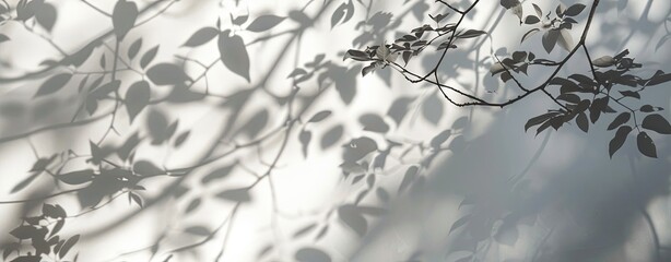 Wall Mural - Creating soft and intricate leaf shadows on a white background, emphasizing the use of light and shadow to evoke a serene and natural atmosphere, blending simplicity and complexity through the pattern