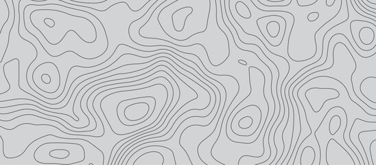 Wall Mural - Gray luxury topographic lines map background .modern technology wave curve line contour map design .seamless geography grid vector illustration .