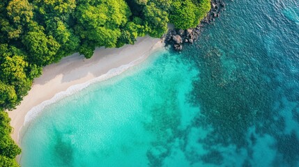 Canvas Print - Aerial View of a Pristine Beach and Turquoise Water