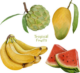 Wall Mural - set of watercolor tropical fruits element design for templates.