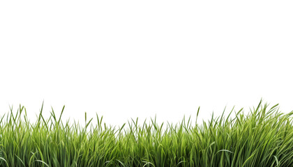 Wall Mural - green grass isolated on transparent background cutout