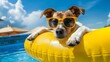 © Zainab - Adorable dog lounging on a yellow float in the pool, wearing stylish sunglasses under the sunny sky