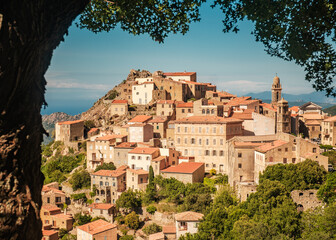 Wall Mural - The iconic perched mountain village of Speloncato in the Balagne region of Corsica on a bright sunny day framed by a tree