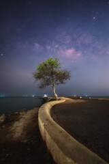 Wall Mural - Beautiful Milky Way and a tree at the shore in Phetchaburi Province, Thailand
