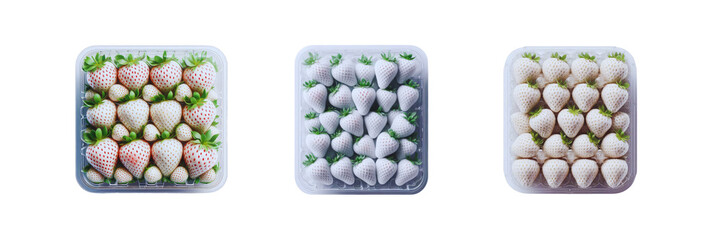 Wall Mural - Set of pack of white strawberry in transparent Packaging, isolated over on transparent white background