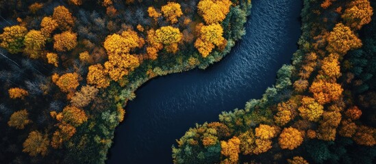 Wall Mural - Aerial View of a Winding River Through Autumn Forest