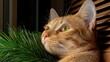 © AICraft - Cute, Amazing Cat Posing