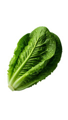 Wall Mural - Cabbage isolated on transparent background 