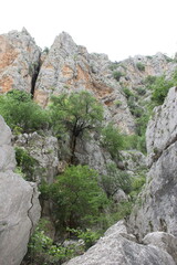 Wall Mural - Parque Natural Sierras Subbeticas - Zuheros, Córdoba - 2024 - 6