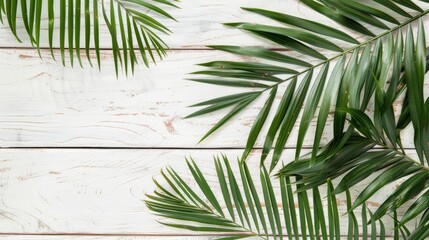 Poster - Palm Leaves on White Wooden Background: Summer Vacation Concept