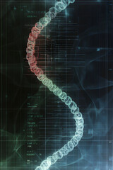 Wall Mural - DNA helix visualization - biotech, bio-technology, biology, genes, genetic engineering, analysis, therapy