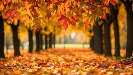 Wall Mural - Autumn background for a stock photo with space for text.