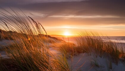 Wall Mural - a serene sunset seen from sandy dunes featuring tall grass swaying in the breeze the scene captures the tranquility and natural beauty of a coastal landscape at dusk