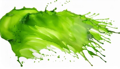 Wall Mural - green watercolor splash isolated on a white background