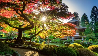 Sticker - sunshine through the beautiful japanese maple tree in portland japanese gardens oregon