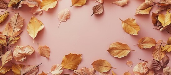 Wall Mural - Top view of a frame consisting of autumnal dry leaves on a soft pastel backdrop, suitable for flat lay photography, with unobstructed space for text or image insertion. image with copy space