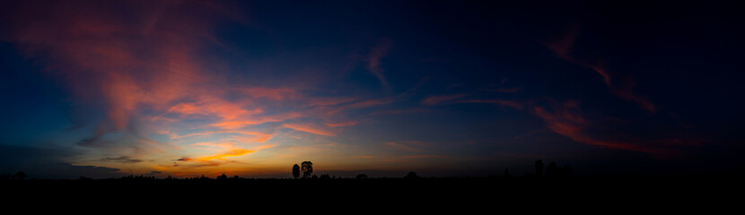 Wall Mural - panorama silhouette tree in africa with sunset.tree silhouetted against a setting sun.dark tree on o