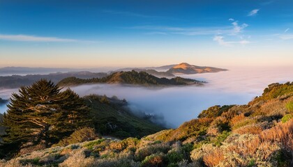 Wall Mural - morning fog flows on mt tamalpais california