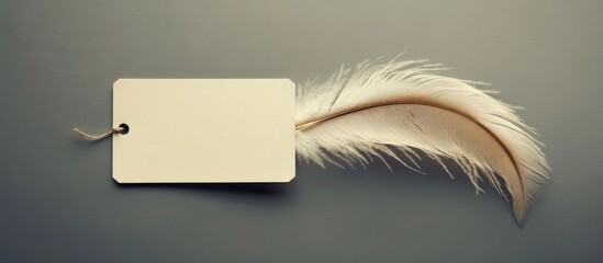 Poster - Blank space paper tag with a feather for your own copyspace