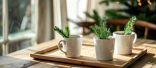 Poster - White mugs on wooden trays displaying pine tree image in copy space image