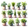 © md - Green house plants set with potted monstera ficus cactus banana palm yucca against white background realistic isolated vector illustration