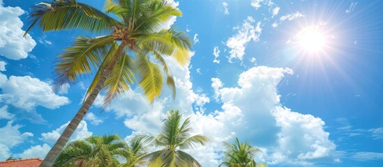 Poster - Sunny sky with white clouds showcasing palm trees and a house top perfect for a copy space image