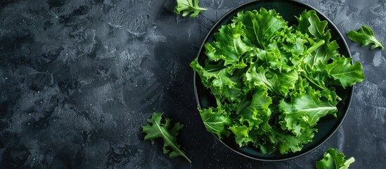 Poster - Top view of a fresh oak leaf salad on a dark background with copy space image available