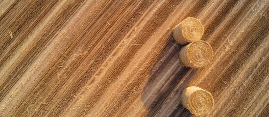 Aufkleber - Overhead perspective of hay bales on a clear harvested field with copy space image
