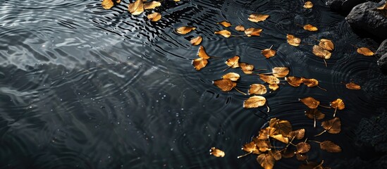 Poster - Shadowy paths guide across the gray water surface adorned with golden bodhi leaves in a tranquil setting with copy space image