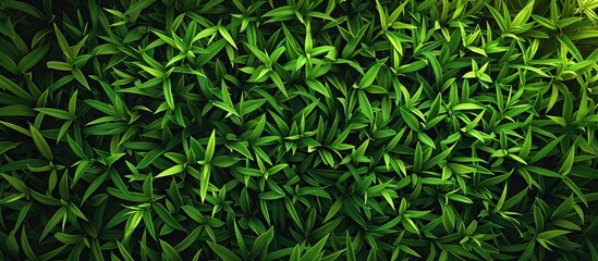 Poster - Background of vibrant green grass with copy space image