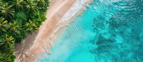 Poster - Scenic tropical beach with clear turquoise waters palm trees and an aerial view captured by a drone showcasing a stunning landscape with copy space image