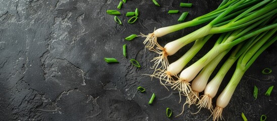 Wall Mural - Fresh green spring onion arranged on a slate surface with text space available highlighting the health benefits of this vegetable in a visually appealing copy space image