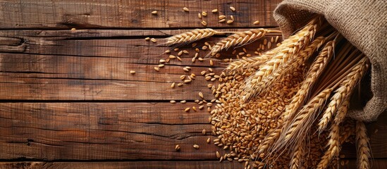 Poster - Wheat grains and ears displayed on a wooden table with a blank copy space image