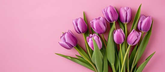 Poster - Purple tulip bouquet with hearts on a pink backdrop conveying Mother s Day Valentine s Day or birthdays Ideal for greeting cards with a top view copy space image