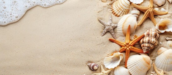 Fototapete - Sand with sea shells on a beach with available copy space image