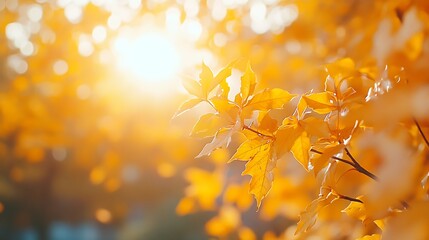 Aufkleber - Beautiful autumn landscape with yellow trees and sun Colorful foliage in the park Falling leaves background : Generative AI